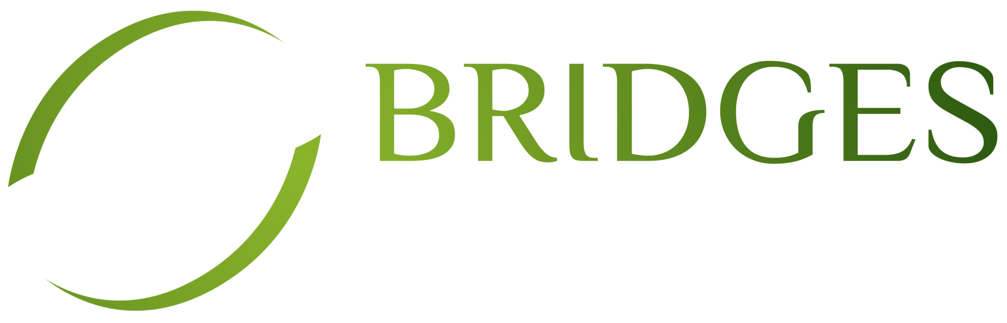 Bridges Health