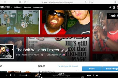 The Bob Williams Project